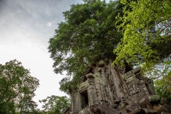 Beng Mealea, Cambodia.  April 5, 2019.