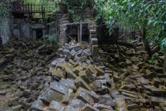 Beng Mealea, Cambodia.  April 5, 2019.