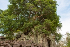 Beng Mealea, Cambodia.  April 5, 2019.