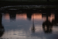 Lifelong dream realized.  Sunrise at Angkor Wat, Cambodia.
