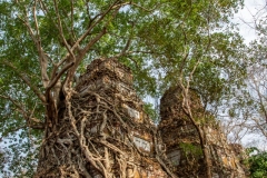 Prasat Pram, Koh Ker, Cambodia.  April 5, 2019.