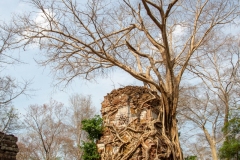 Prasat Pram, Koh Ker, Cambodia.  April 5, 2019.