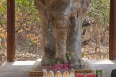 Prasat Thom, Koh Ker, Cambodia.  April 5, 2019.