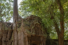 Ta Prohm (Tomb Raider) temple.  April 3, 2019
